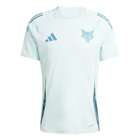 Camisa Cruzeiro 25/26 Treino Adidas Masculina